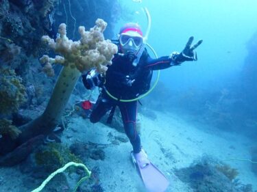 キビナゴを求めて！