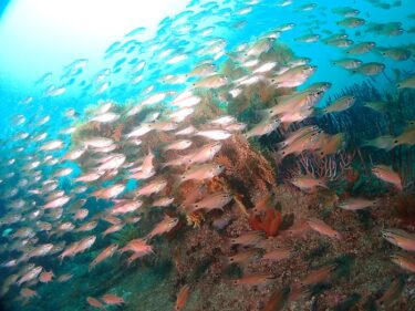 ボートデビュー！！