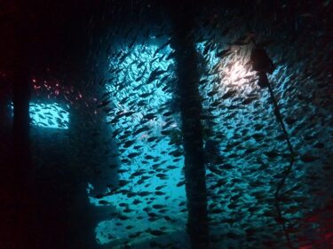 TDC2021開幕！　Part1