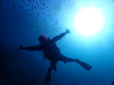 Tritonが初めてのお客様と！