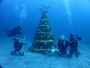 水中クリスマスツリー！