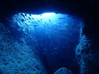 潜り納めツアー＠雲見