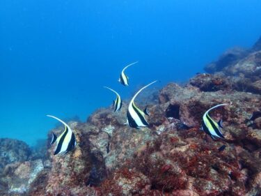 スタッフ慰労会！