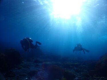 年越しダイビングツアー　＠伊豆大島　Part1