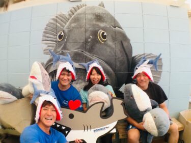 シャークアイランドへGo！