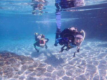 復活Diving♪