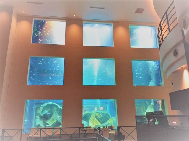 巨大水槽ダイビング