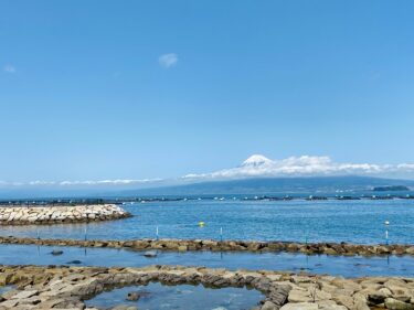 イルカを求めて。。。