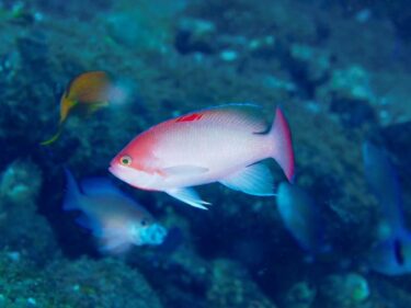 じっくりフォトツアー♪