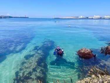 スタッフ調査ダイブ！