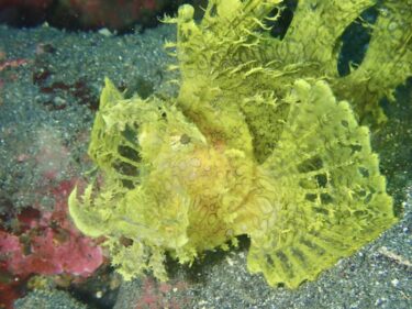 江戸城の土台の石を見る！