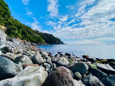 チェックダイブ！