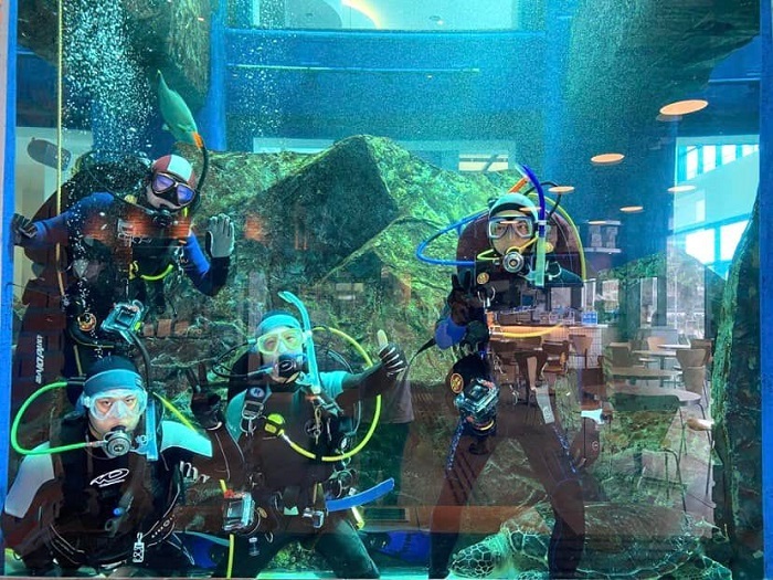 リアル竜宮城体験！│横浜ダイビングショップ【トリトン】横浜市