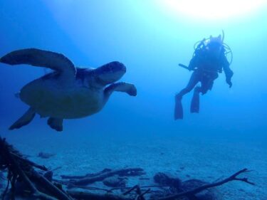 2026年・始動！！