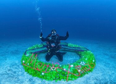 研修ダイビング！