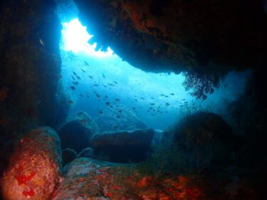 洞窟わくわくツアー！！