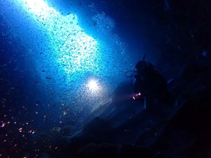 透明度抜群の熱海へ！│横浜ダイビングショップ【トリトン】横浜市